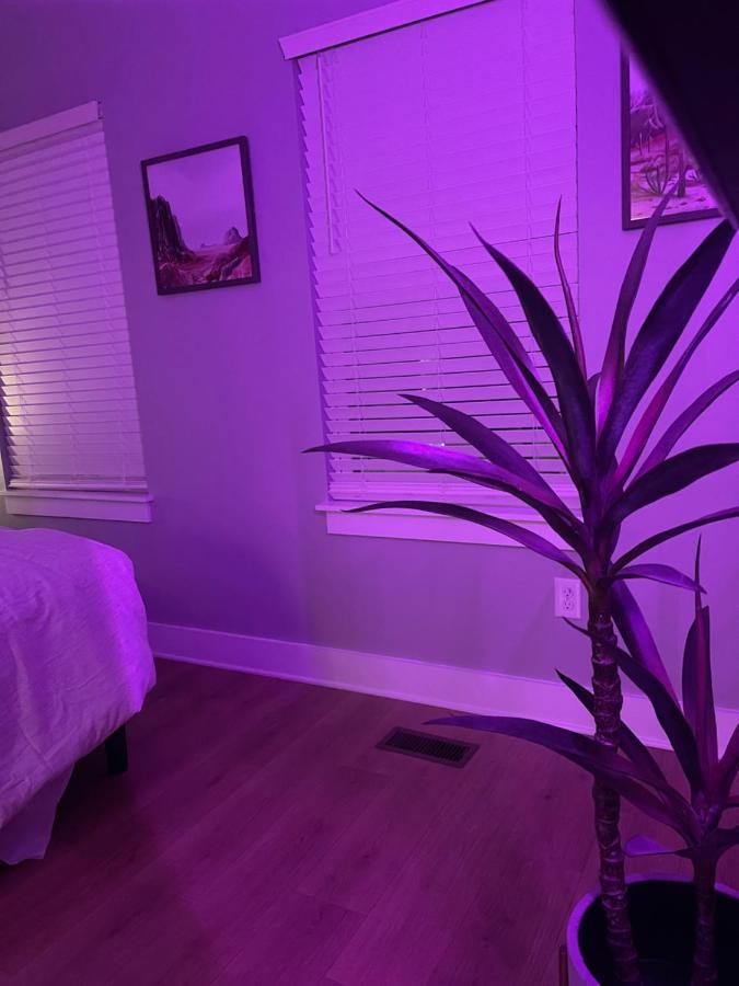 Classy, Cozy, Close To Downtown Nashville Esterno foto